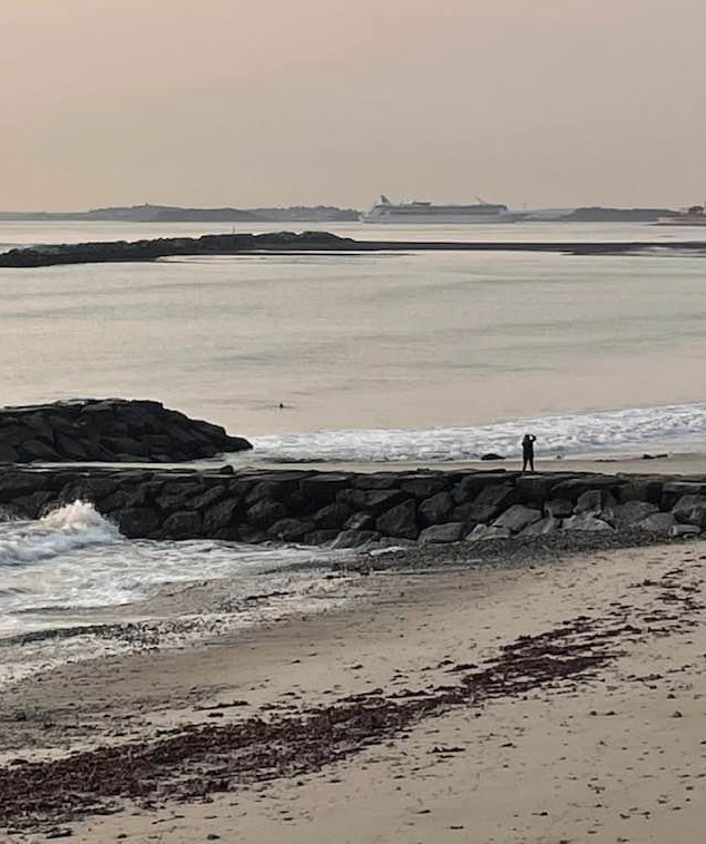 Taken from a distance a person is photographed from behind as they stand on rocks on the beach aiming a camera at a cruise ship arriving on the horizon.