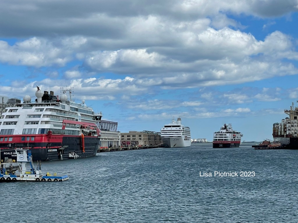 A small dark hulled passenger ship approaches the cruise port aft end first. Two passenger ships are already berthed, another small dark hulled ship and, in the distance, a larger all white cruise ship.