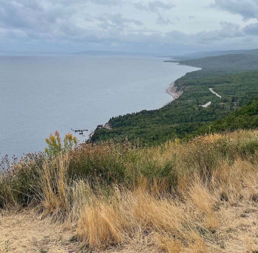 An expansive coastal view from an elevated hillside, with calm blue-gray water stretching toward a hazy horizon. The rugged, forested shoreline curves into the distance, with rocky outcrops, a narrow beach, and a winding road visible below. Dry golden grasses and wild plants cover the foreground beneath an overcast sky.