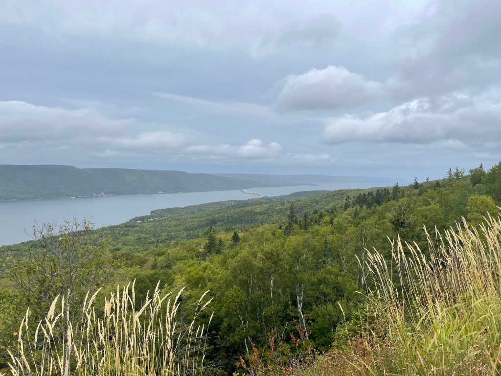 A panoramic view from a grassy hillside overlooking a vast, forested landscape and a broad inlet of blue-gray water. Rolling, tree-covered mountains stretch across the distant horizon beneath a cloudy sky. Tall, pale-gold grasses frame the foreground.
