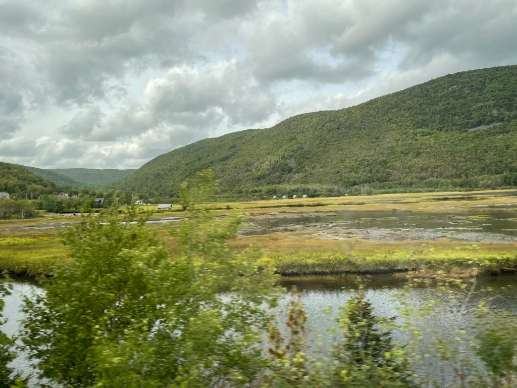 Marshland stretches beneath a lush, forested mountain, with shallow channels of water winding through golden-green grasses. Small buildings sit at the foot of the hills in the distance. 