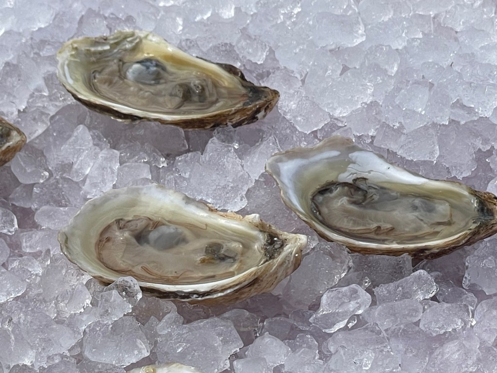 3 large oysters on the half shell on a bed of ice